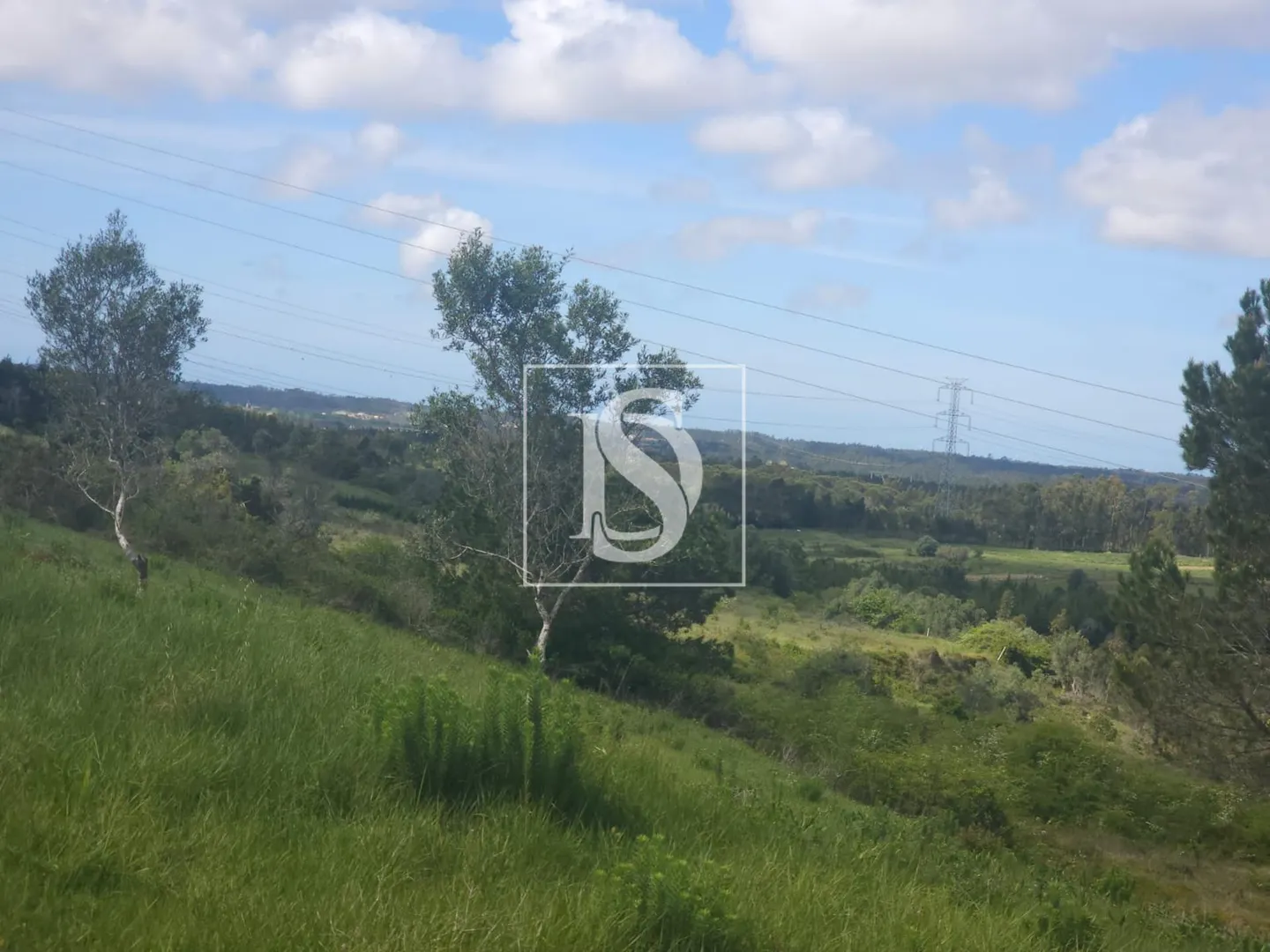 Terreno