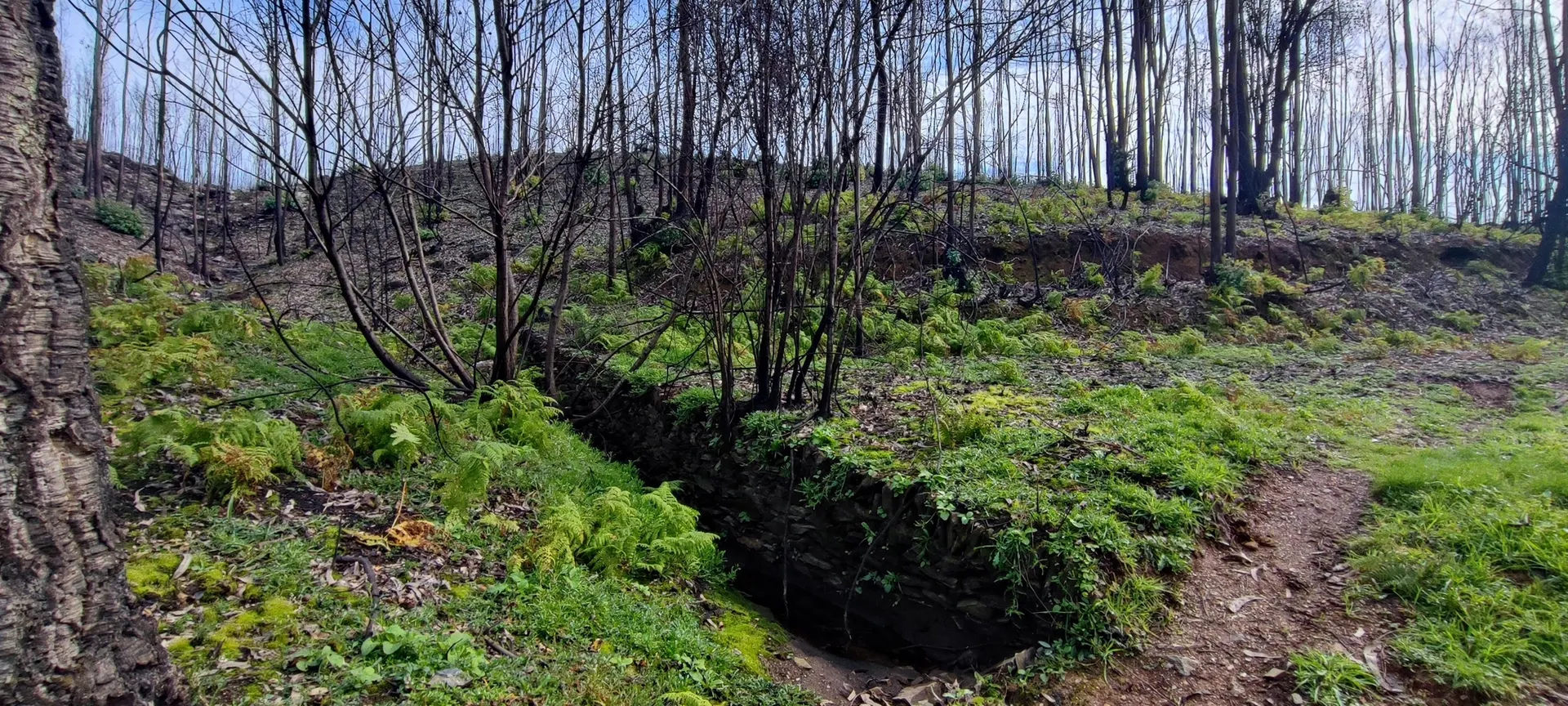 Terreno