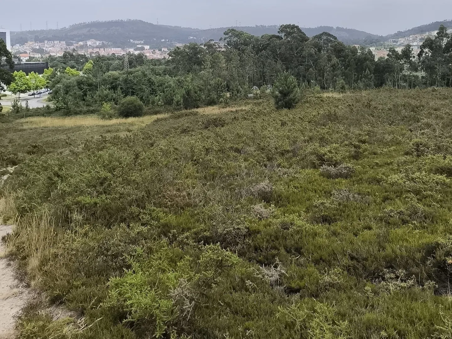 Terreno Misto