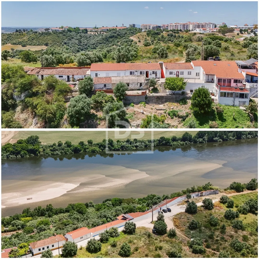 Quinta T6