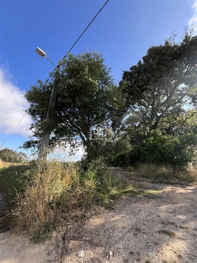 Terreno com 4800m2 para Venda, em Alcobaça