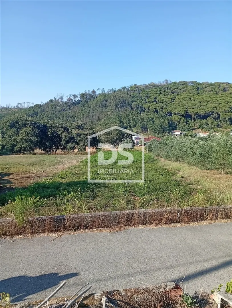 Lote de Terreno