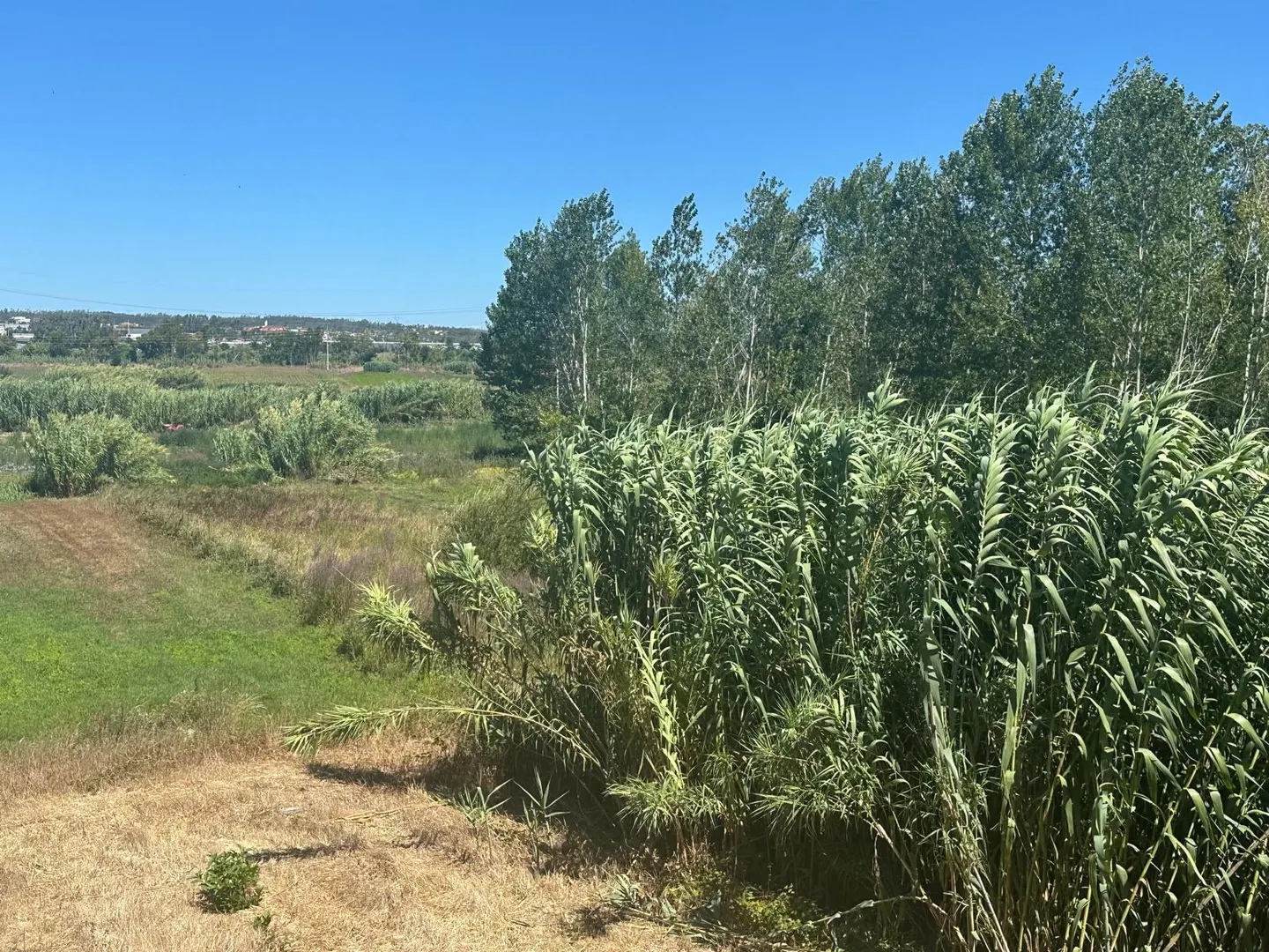 Terreno Para Construção