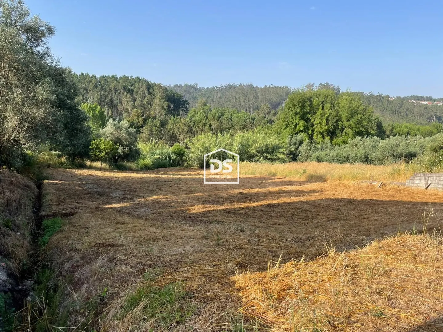 Real estate land
