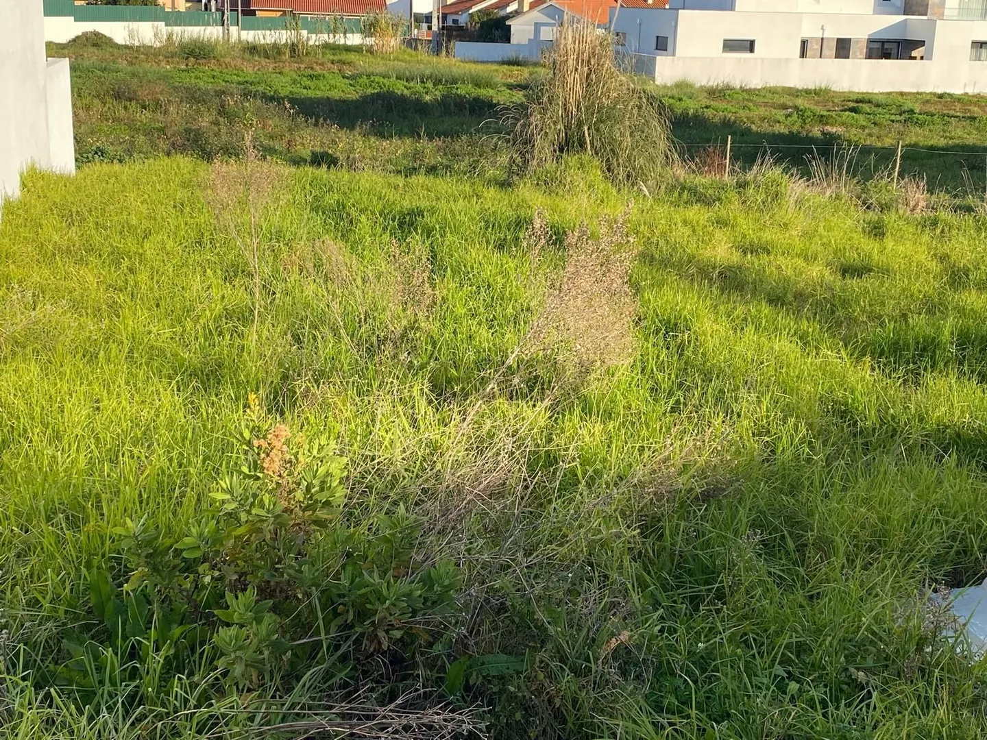 Land for sale in Torres Vedras, Portugal — €85,000