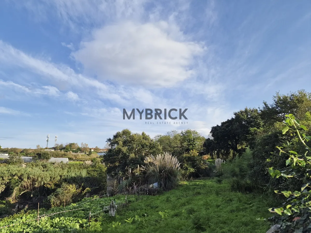 img_9