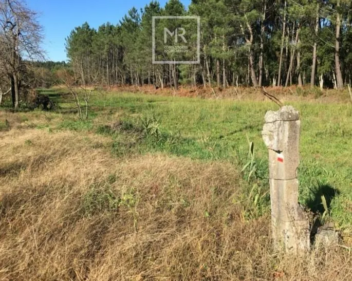 img_1