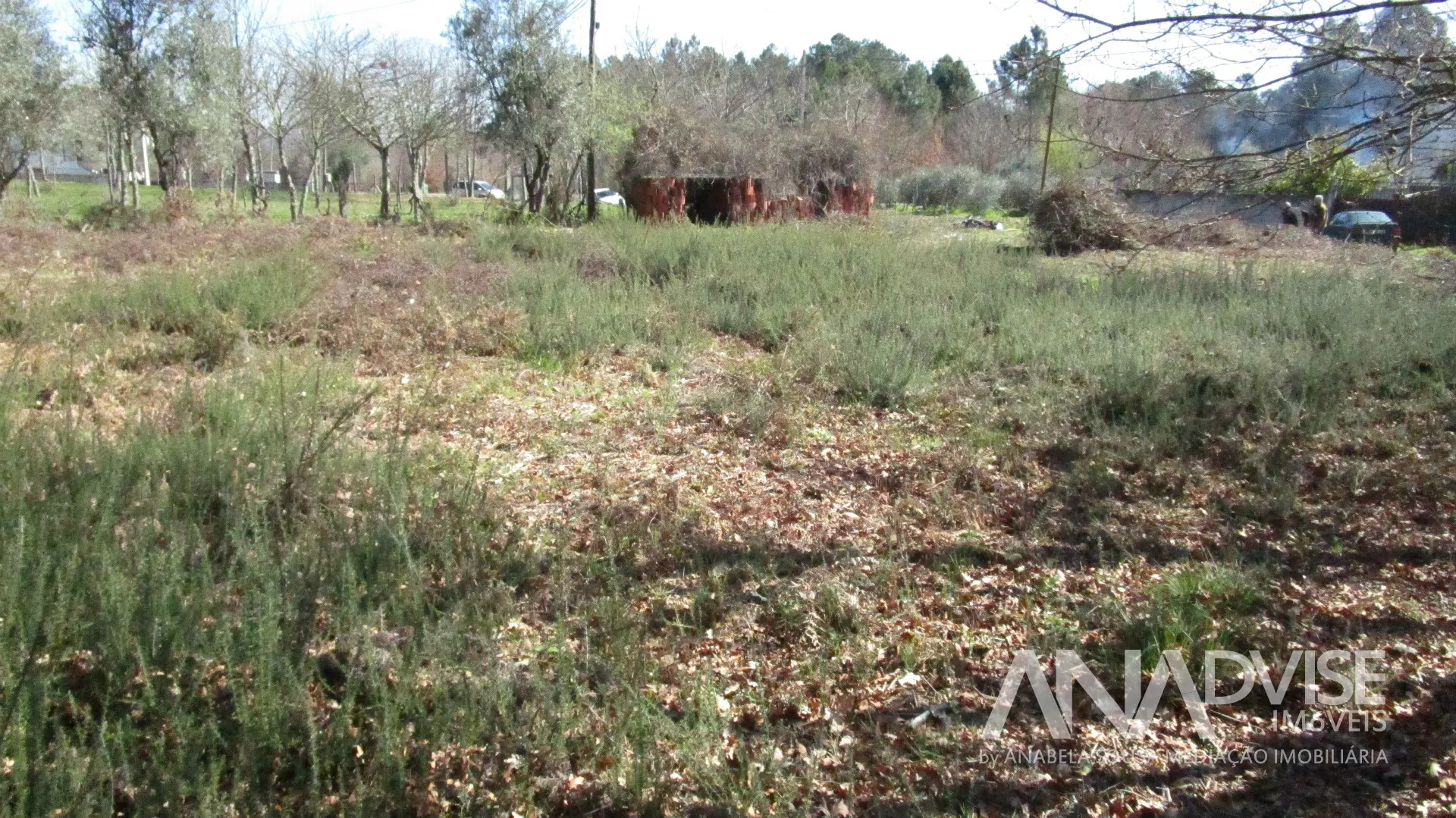 Piece of Real Estate