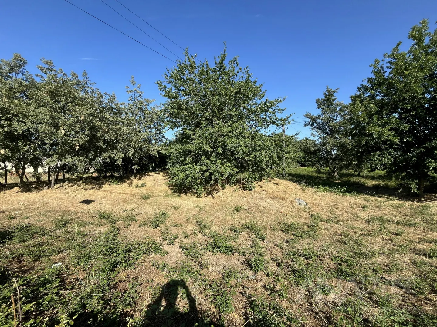 Terrain