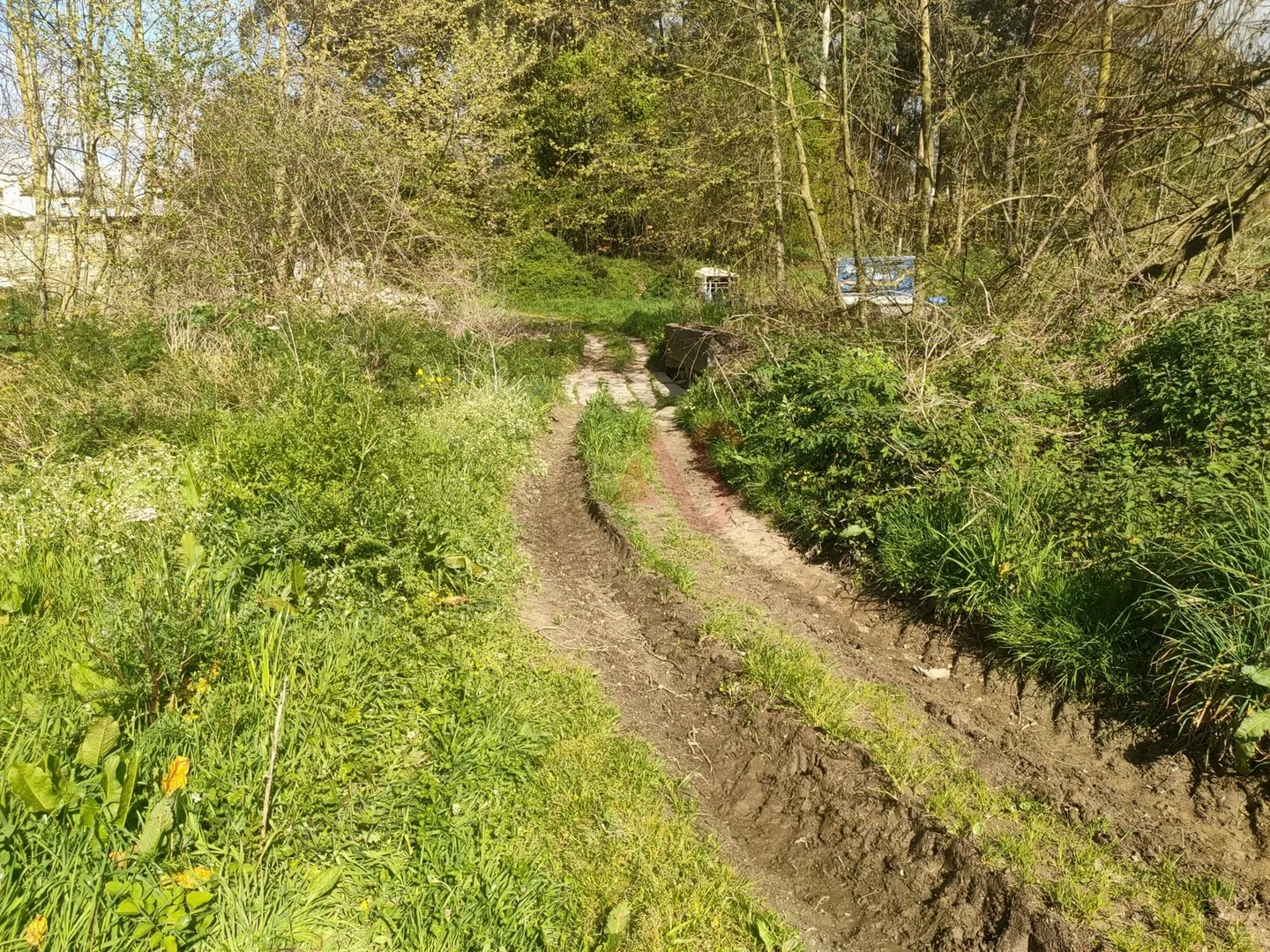 img_0