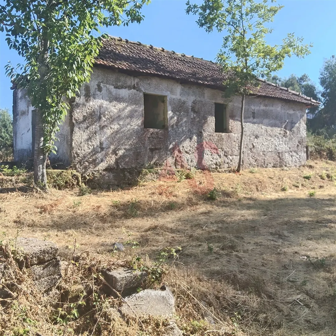 img_0
