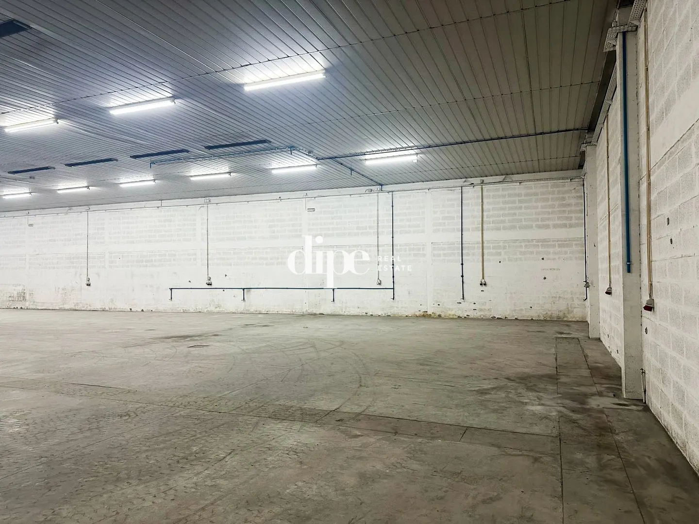 img_2