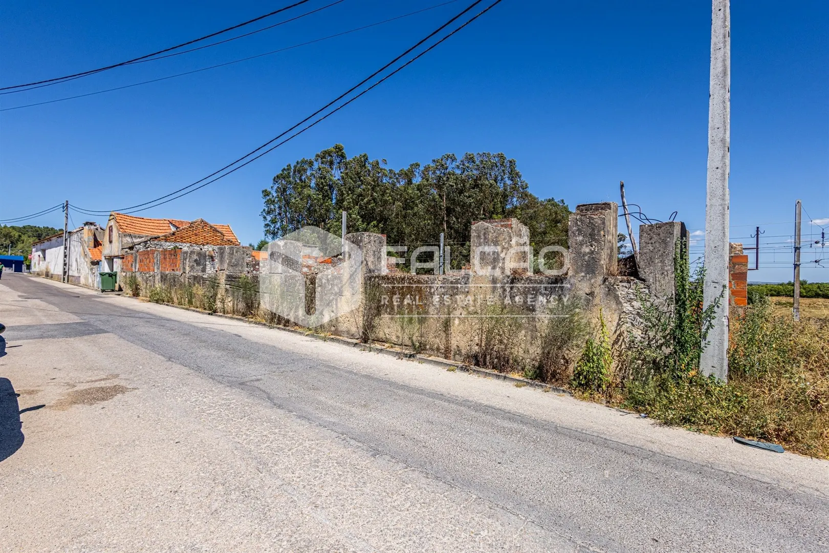 img_5
