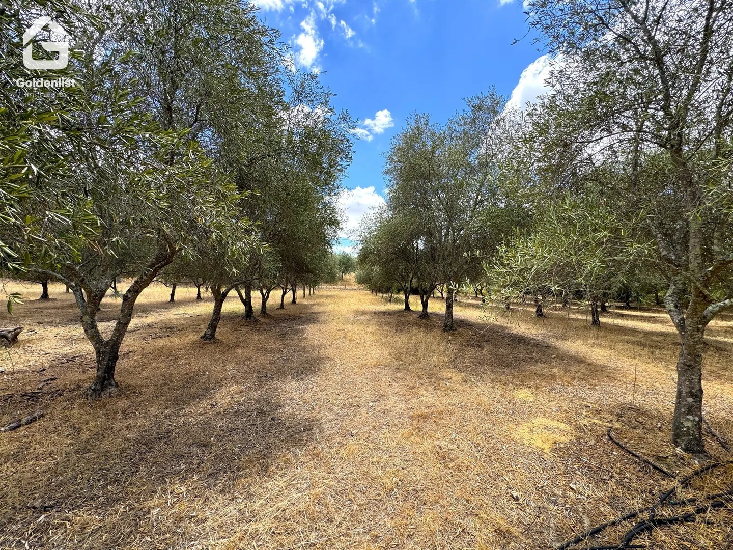 img_23