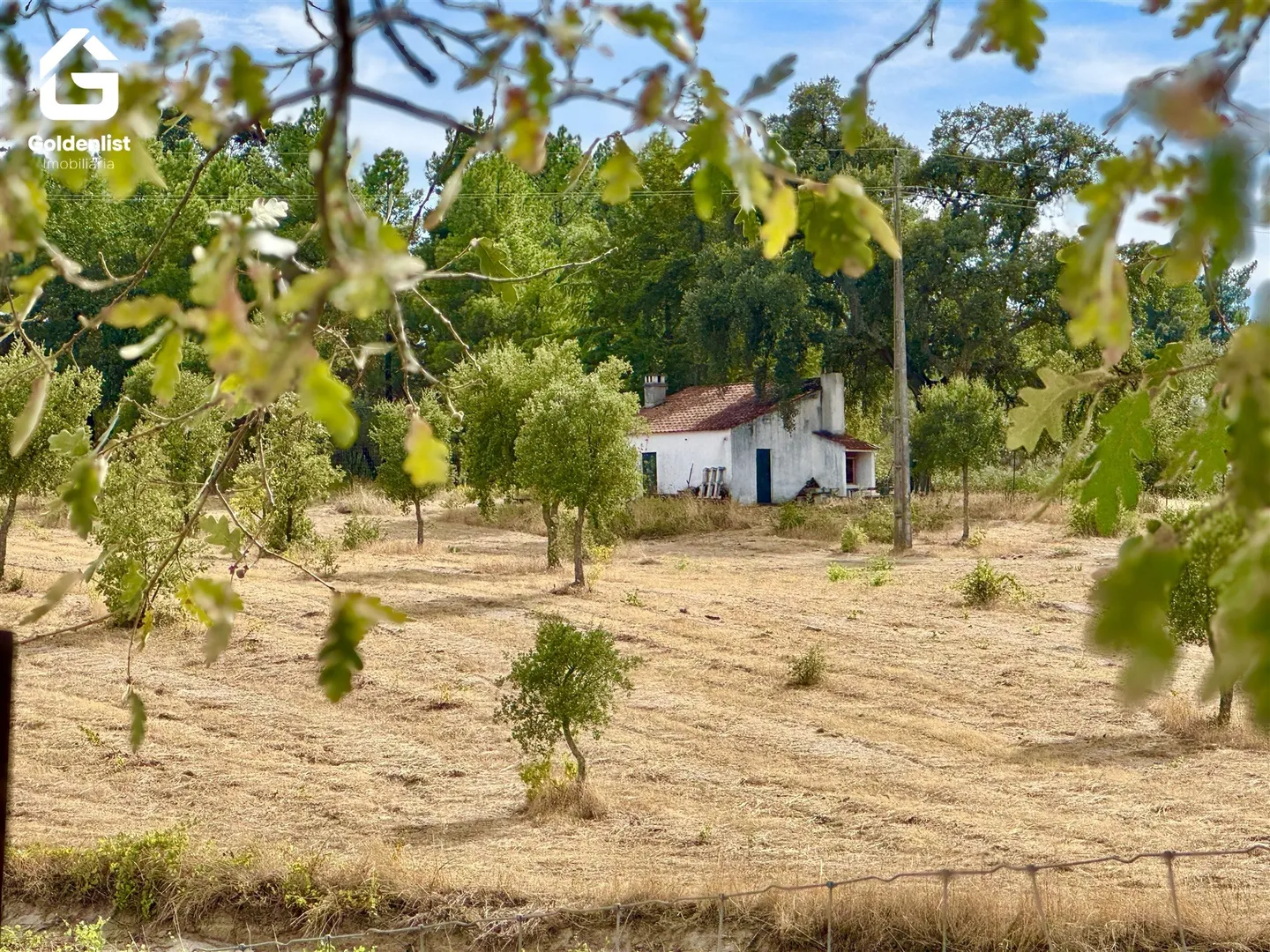 img_16
