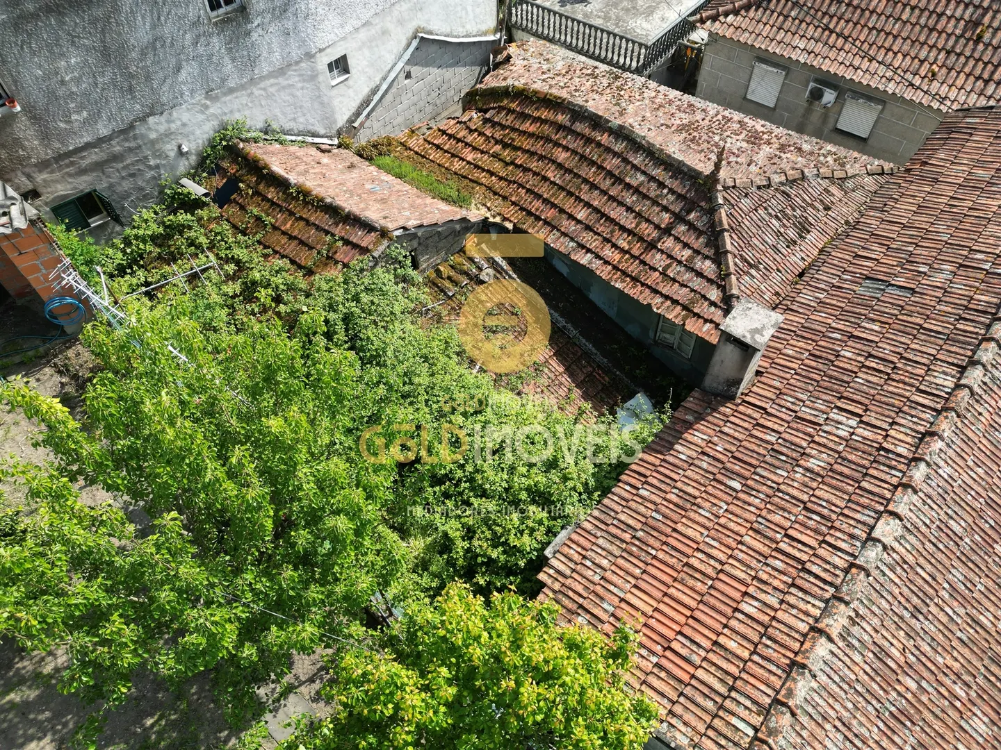 img_13