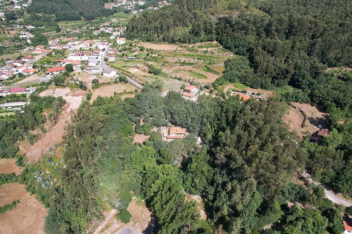 img_4