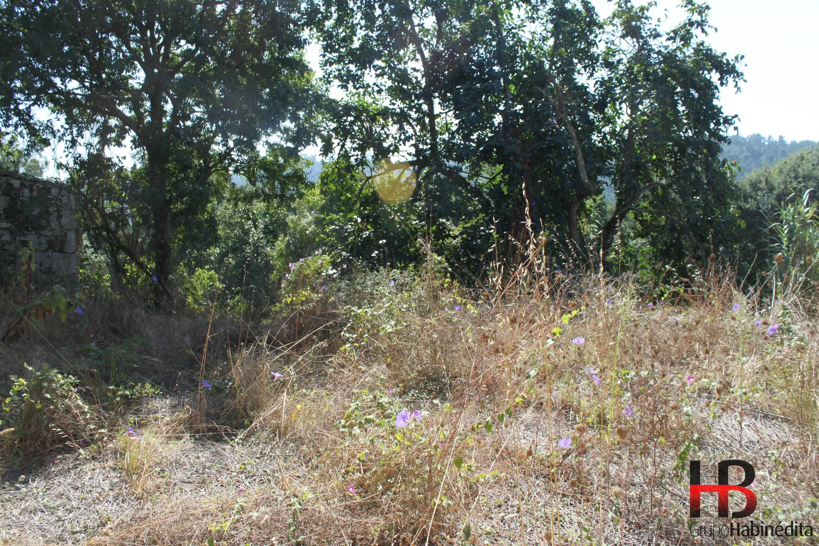 img_5