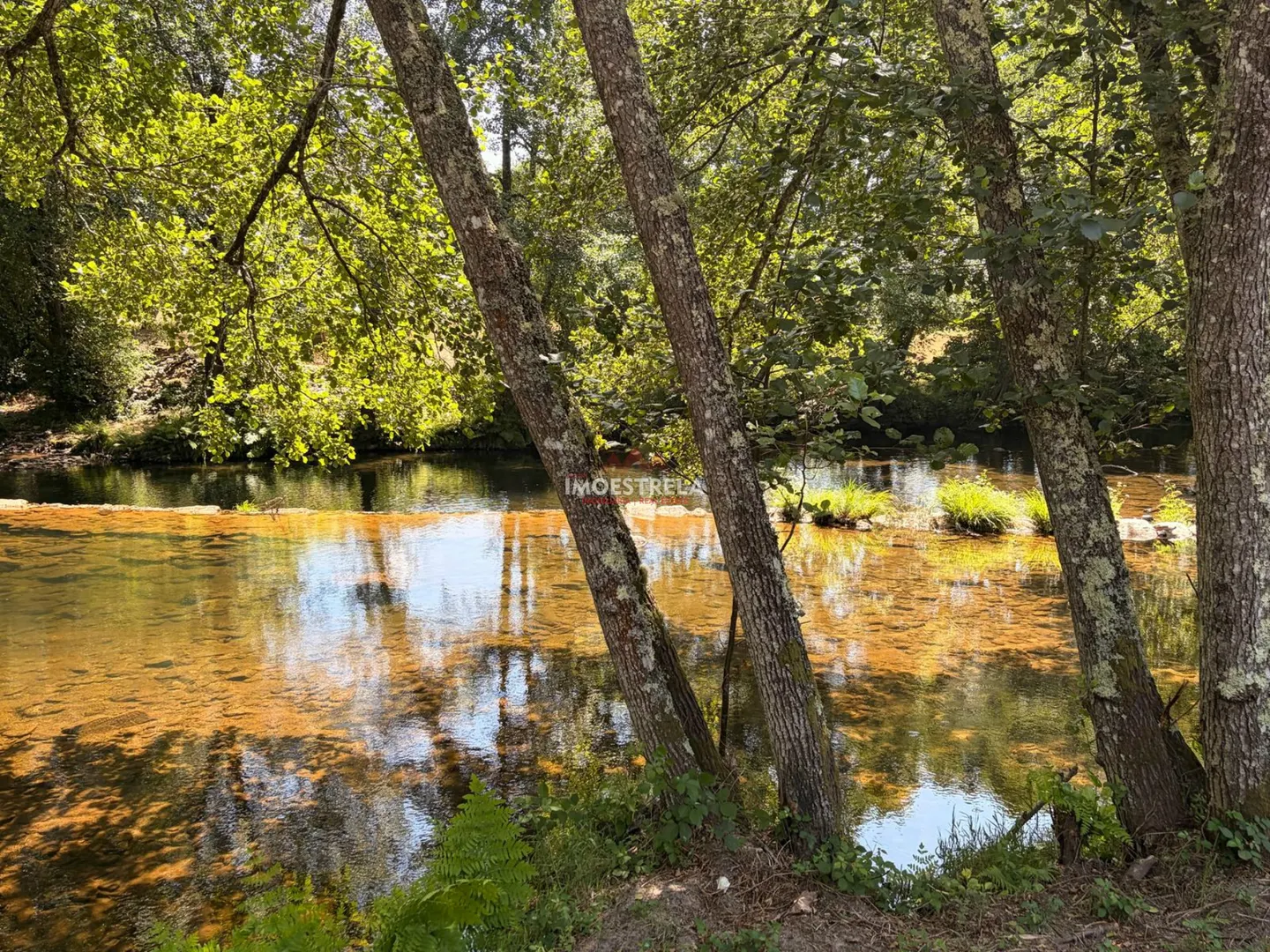 img_2