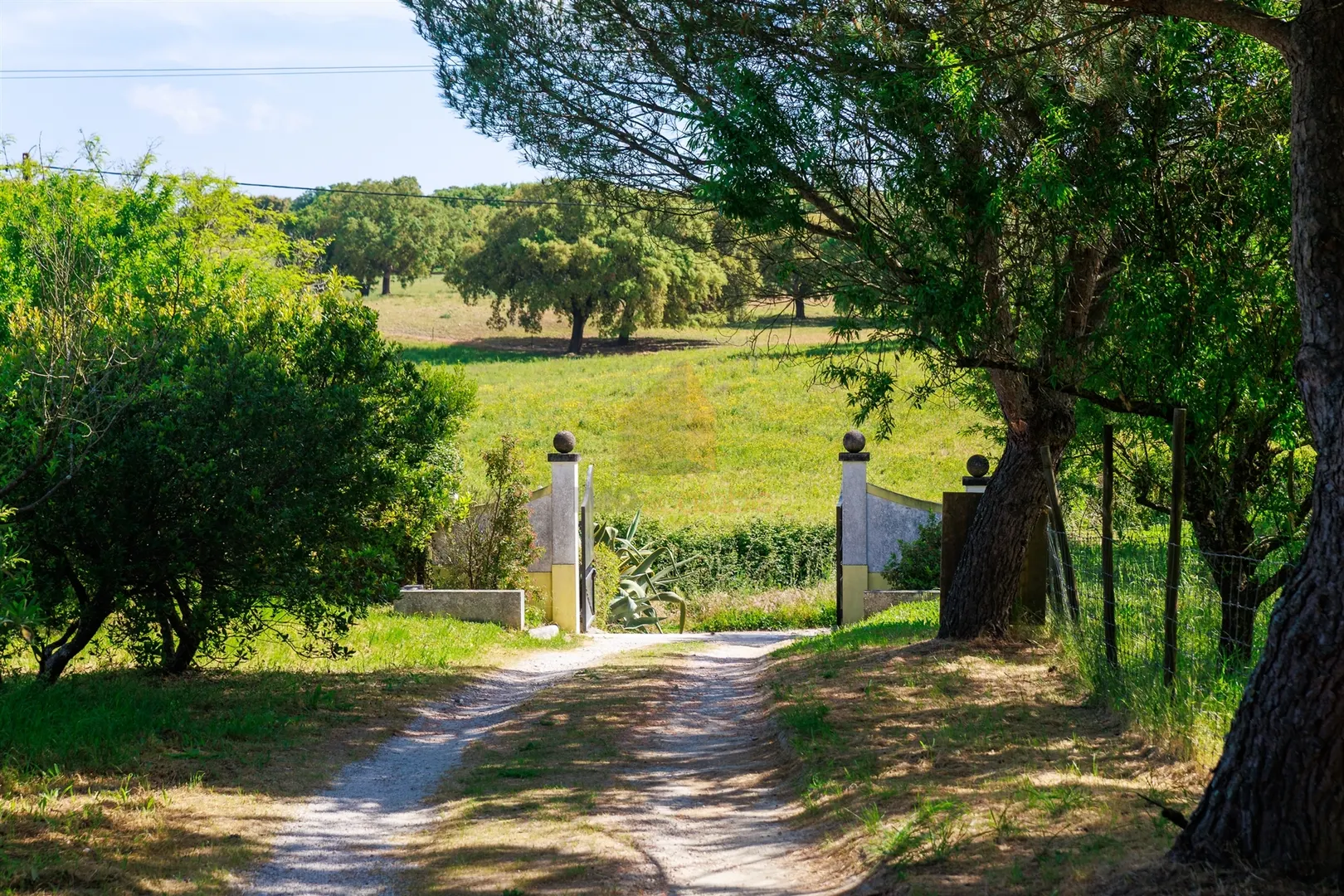 img_3