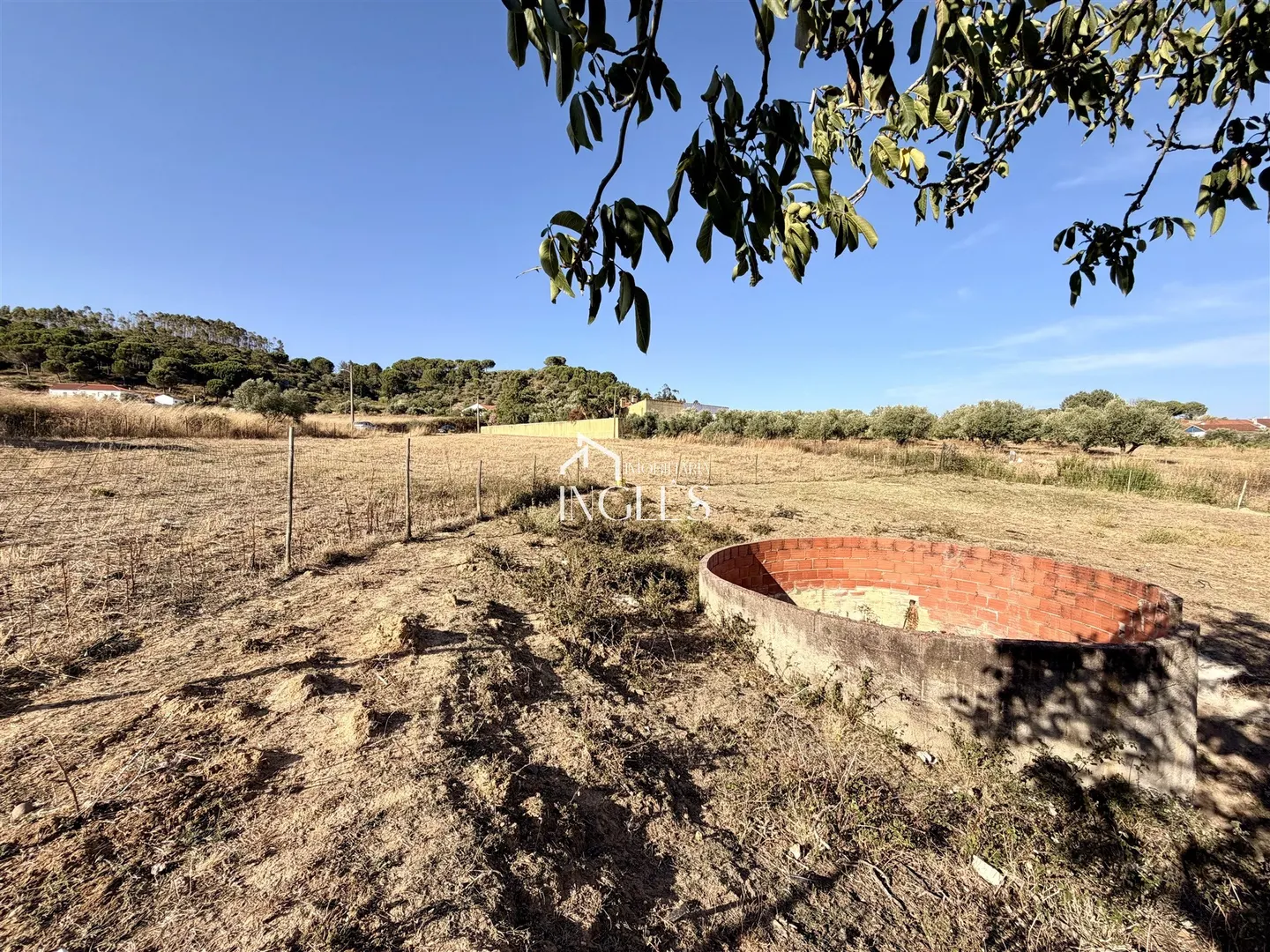 img_10