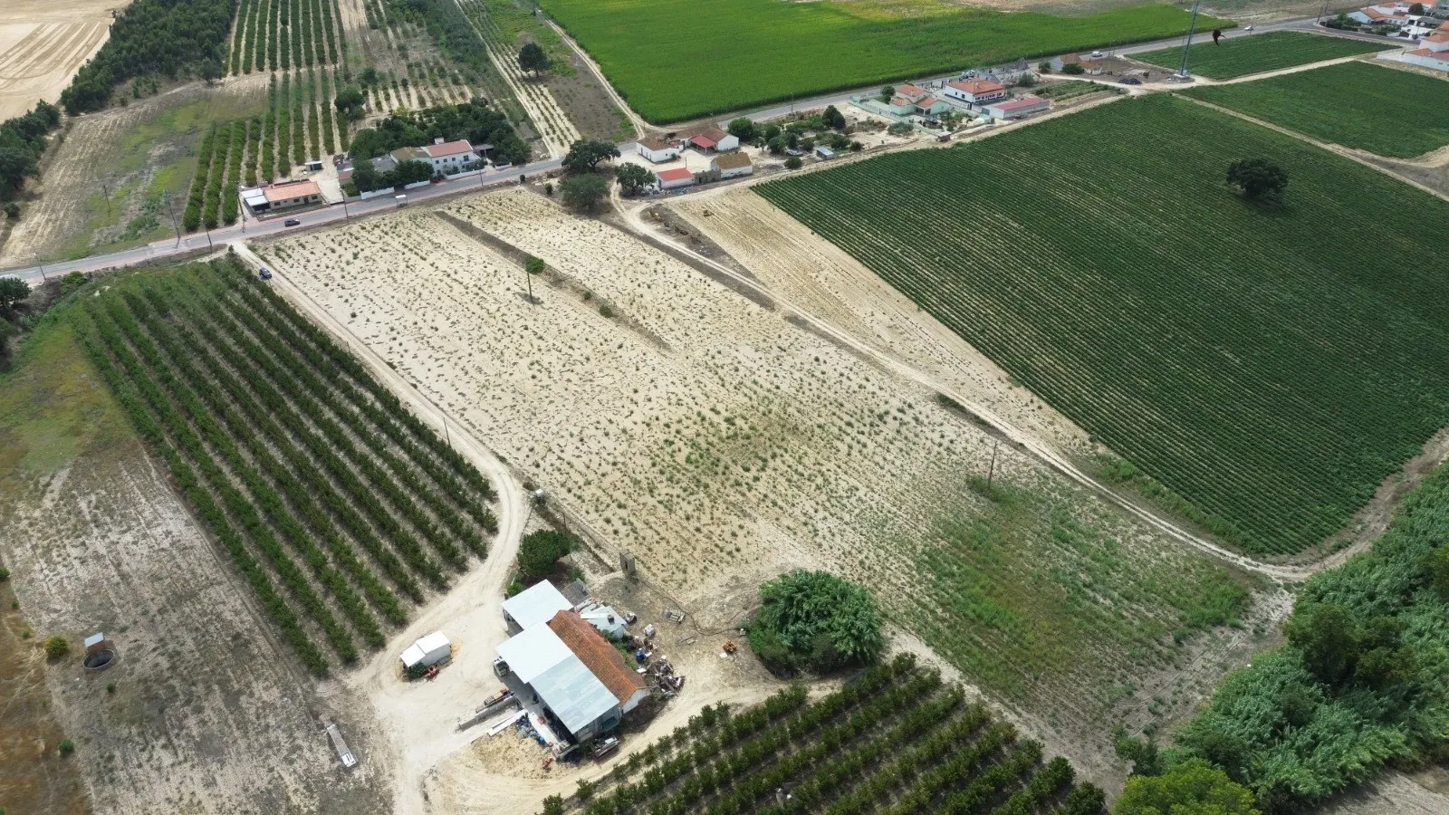 img_3