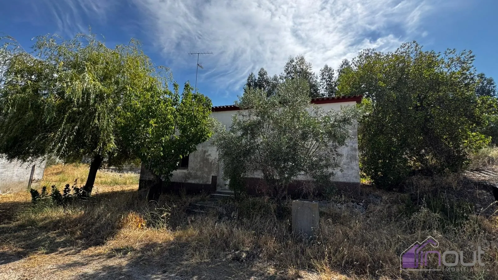 img_87