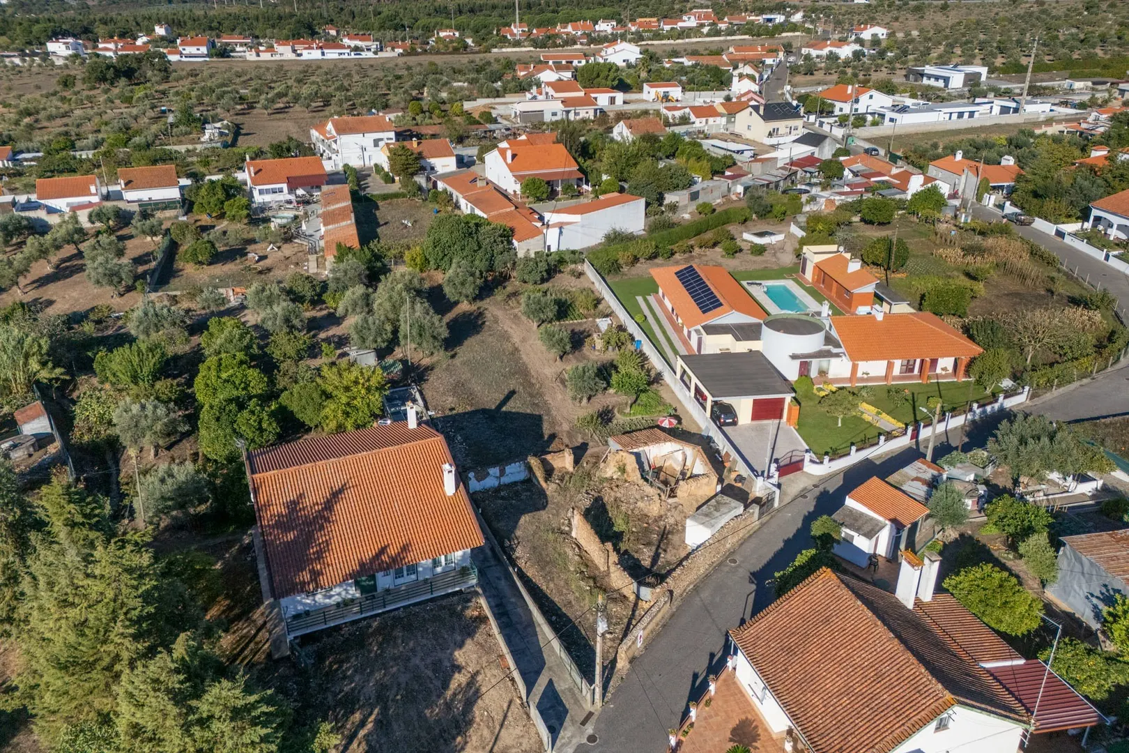 img_5