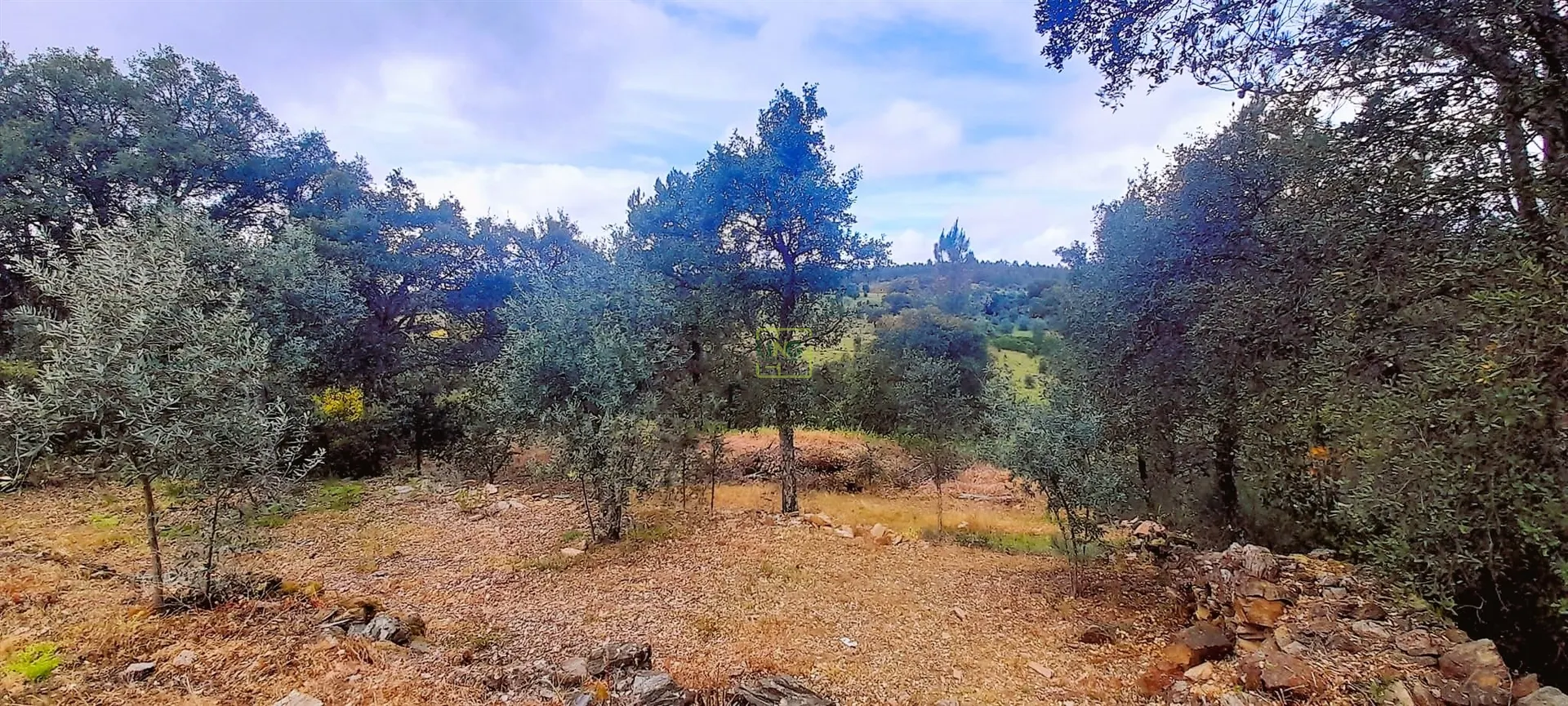 img_11