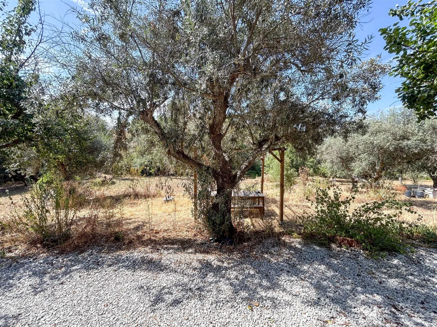 img_53