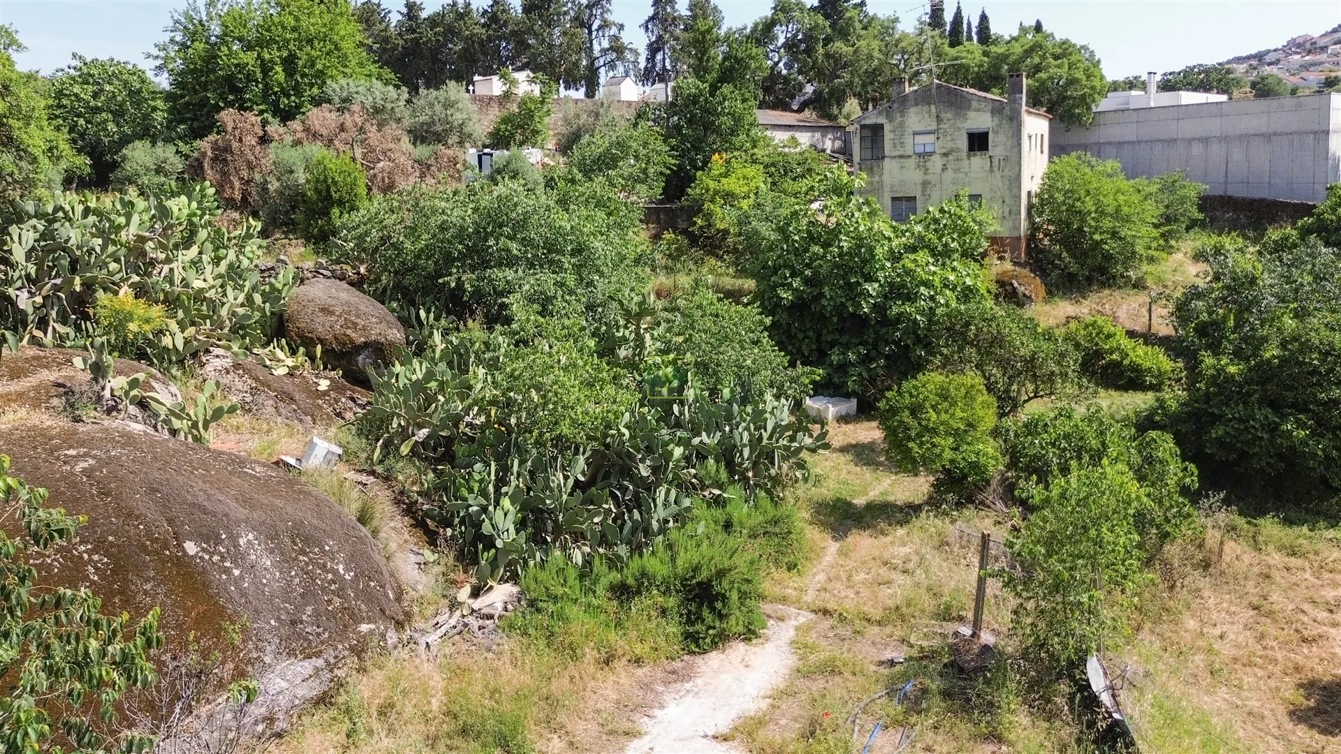 img_18