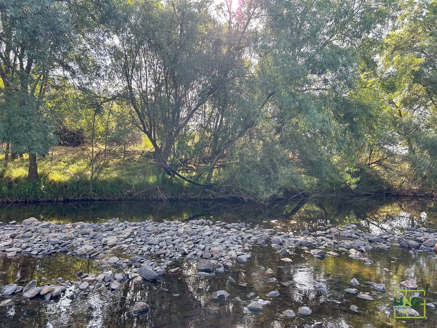 img_31