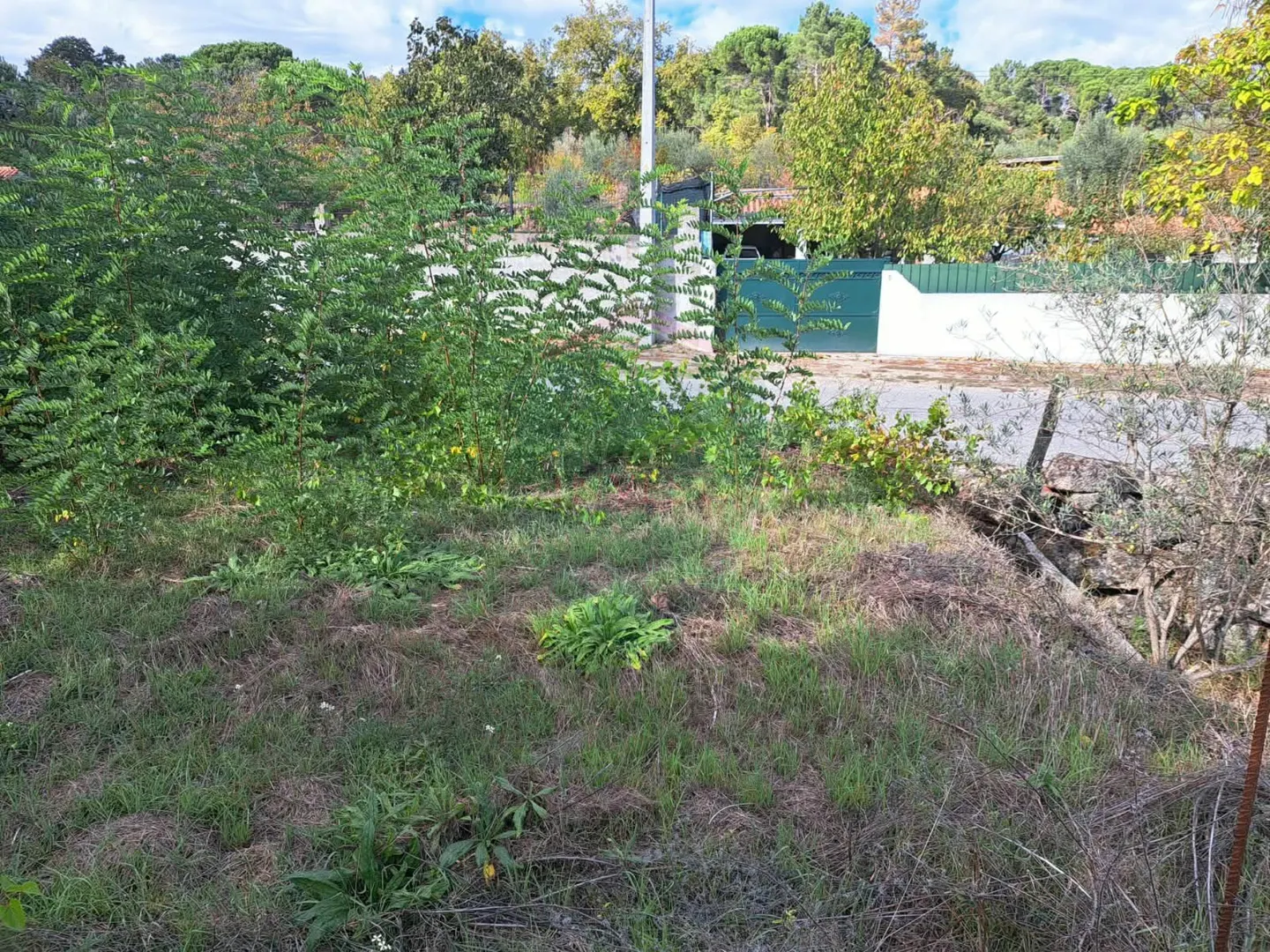 img_10