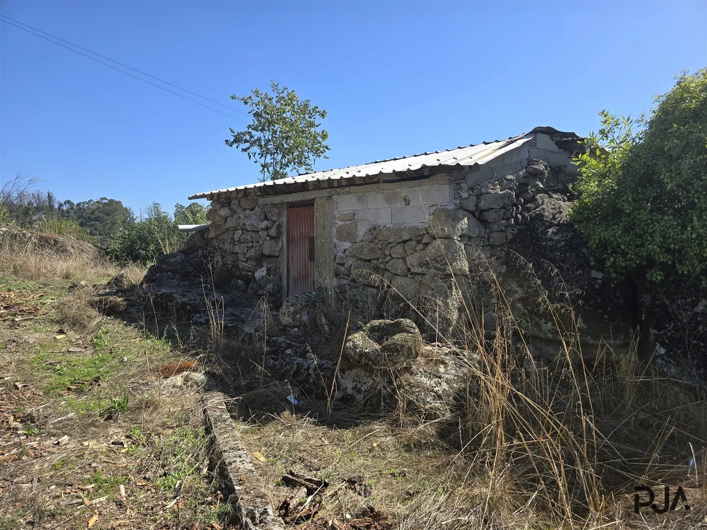 img_4