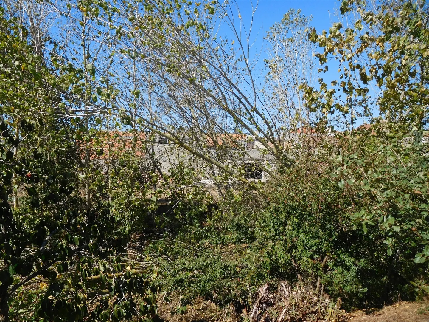img_10