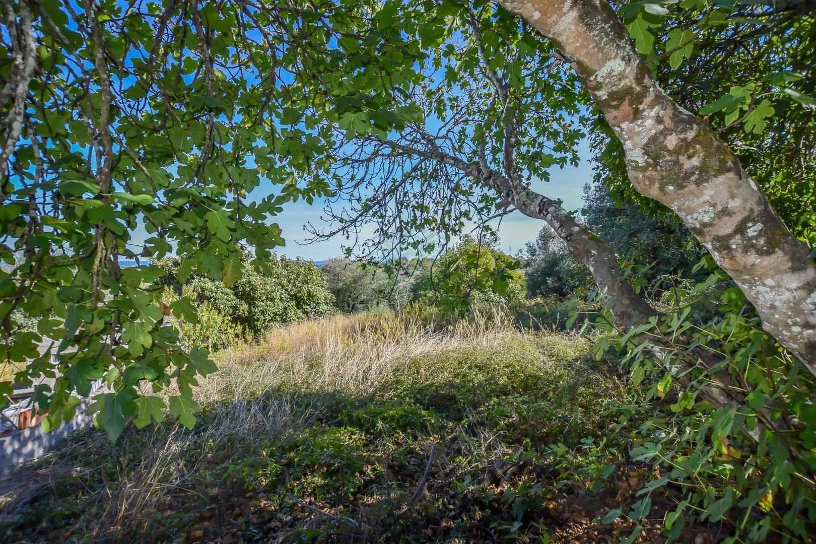 img_13