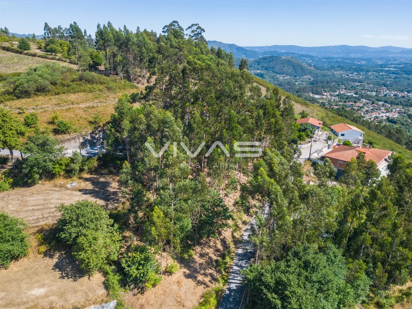 img_5