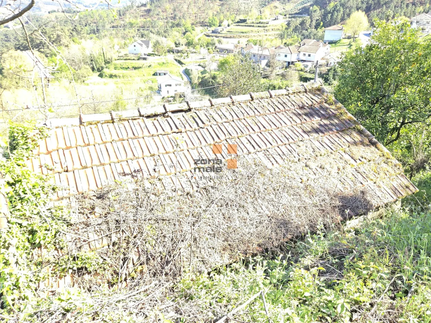 img_25