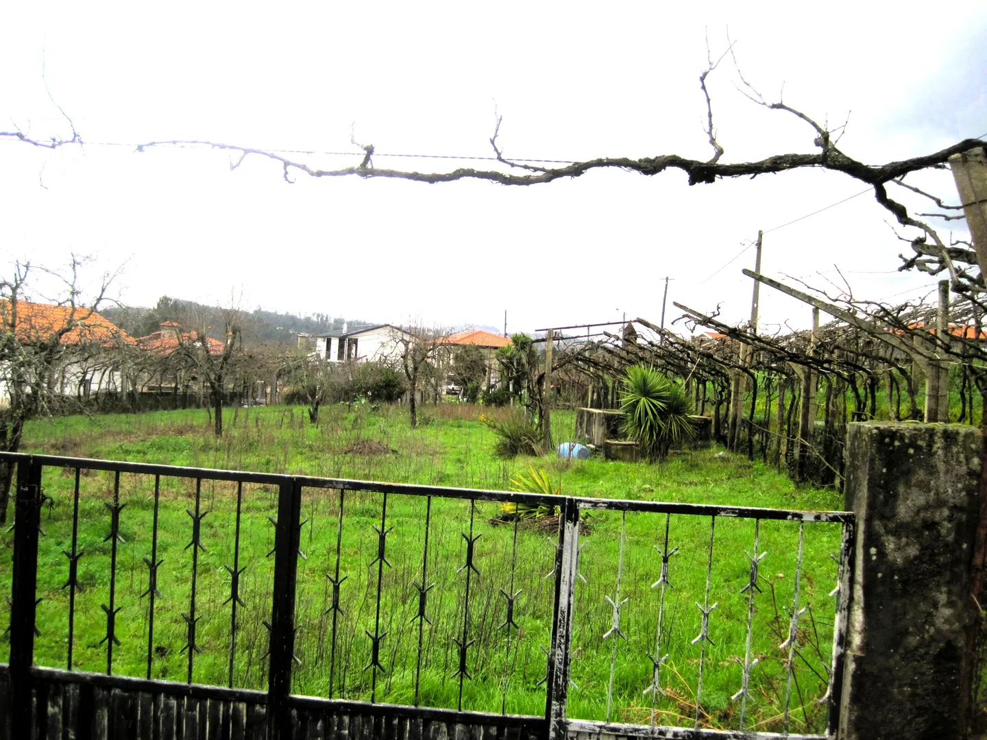 Terreno