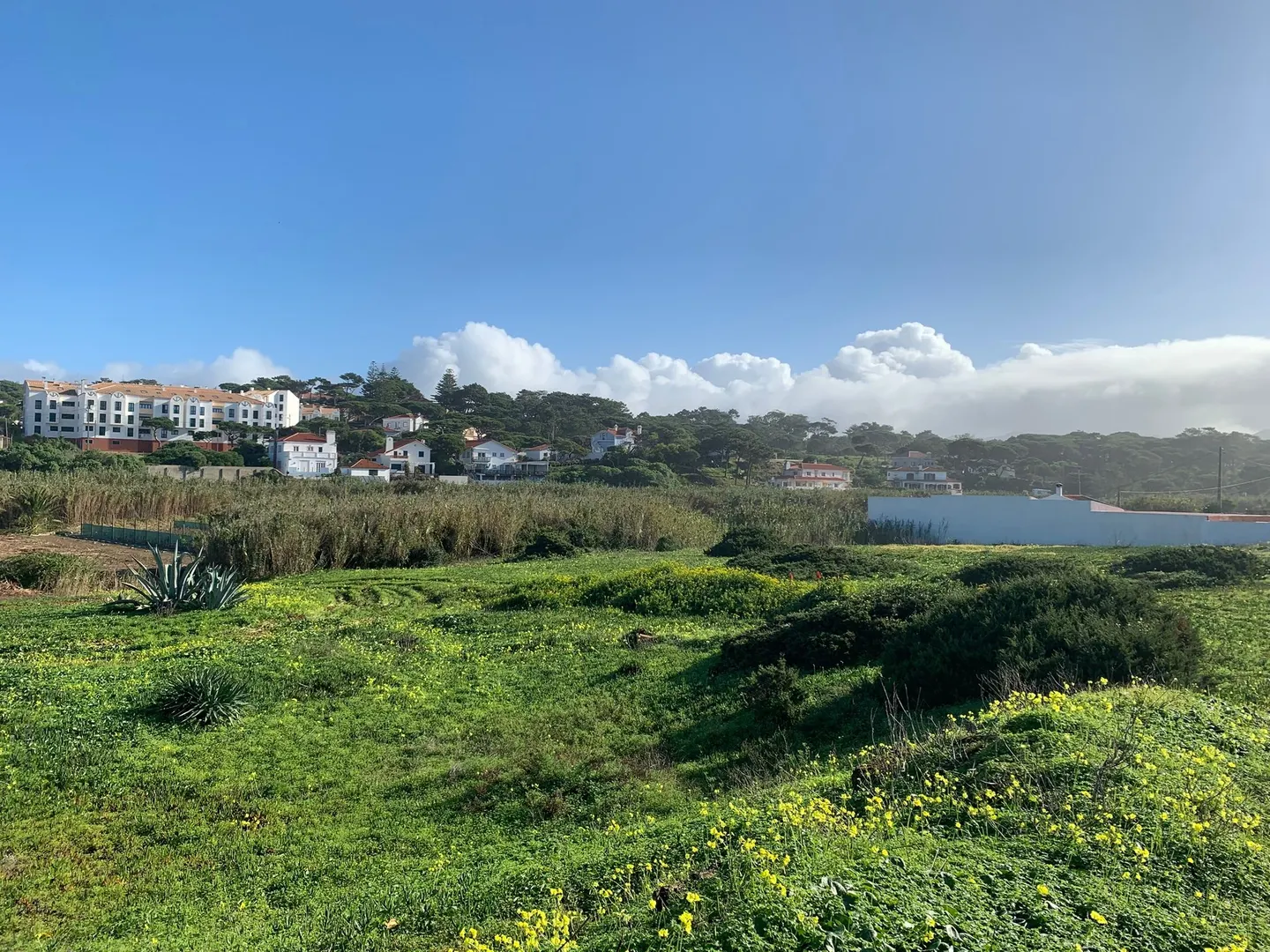 Terreno