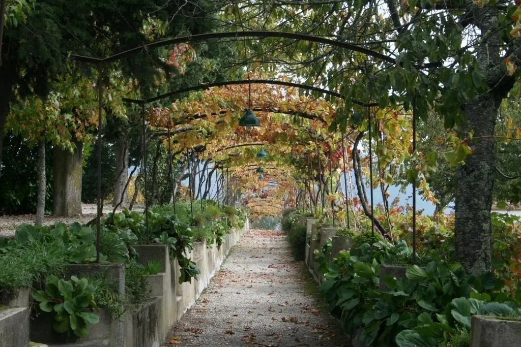 Douro Vinhateiro, Quinta Turística
