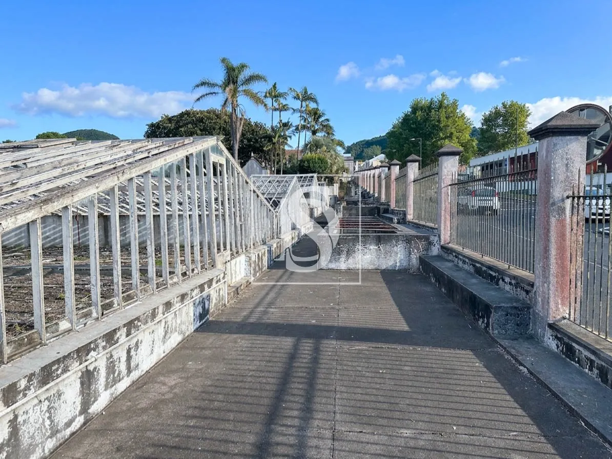 Quinta da Magnólia - Ponta Delgada