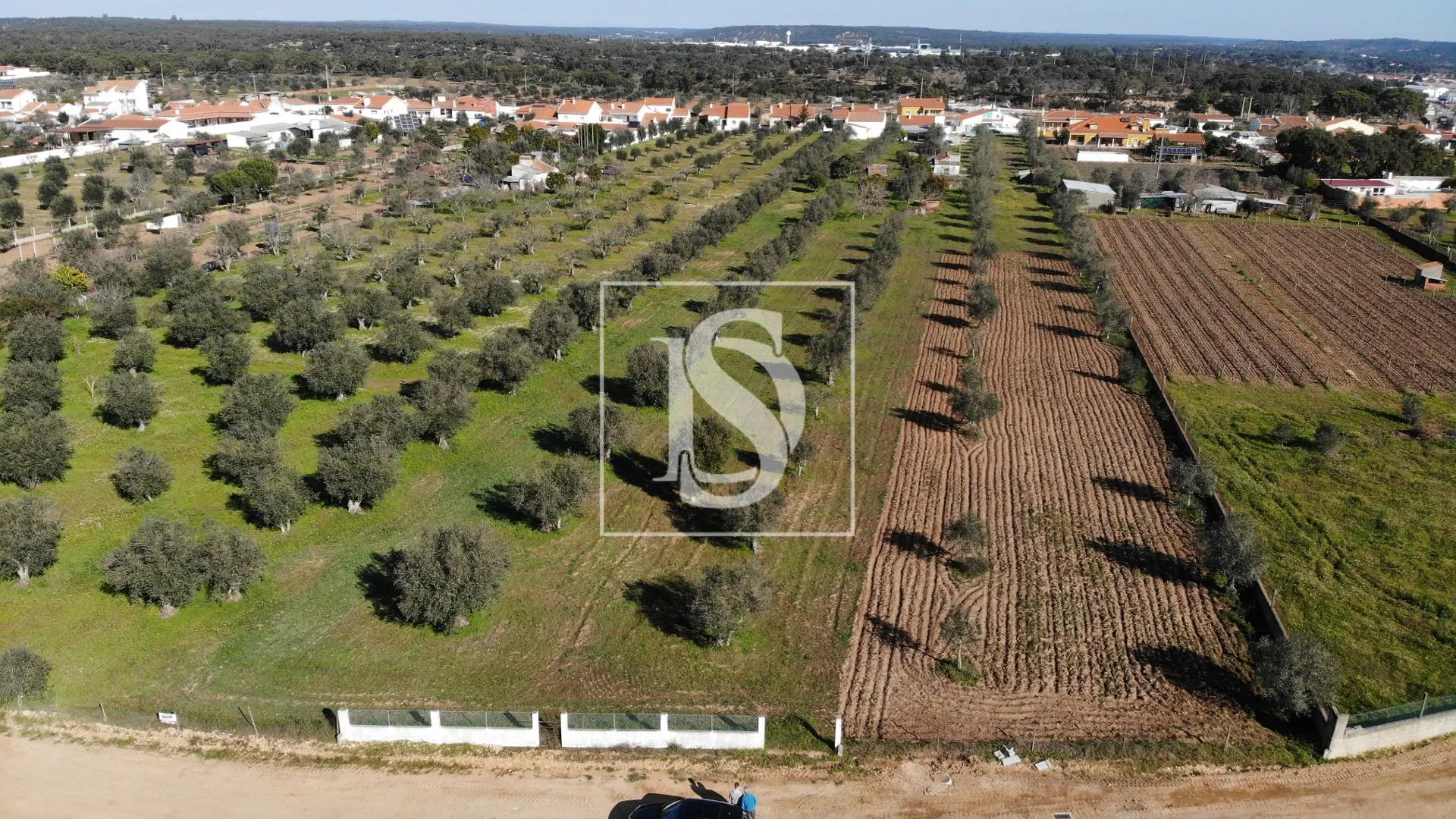 Terreno