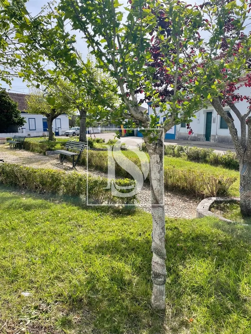 Moradia com Quintal no Alto Alentejo – Comenda, Gavião