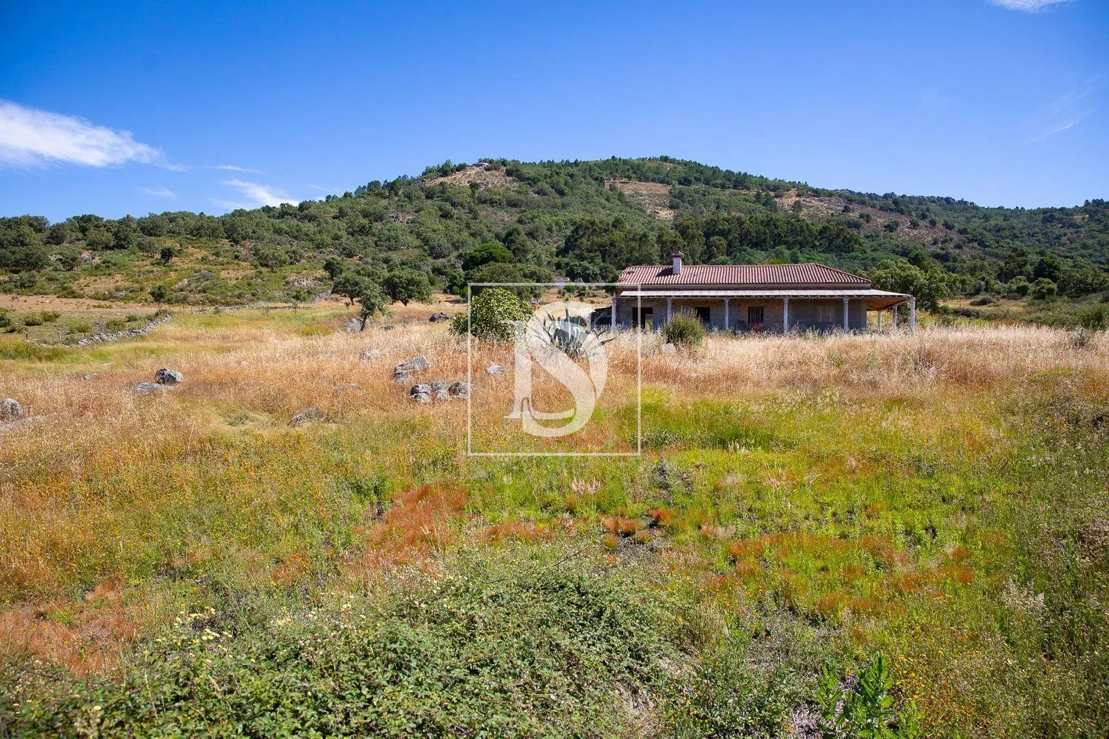 Quinta com 2,5 hectares em Ribeira de Nisa, Portalegre