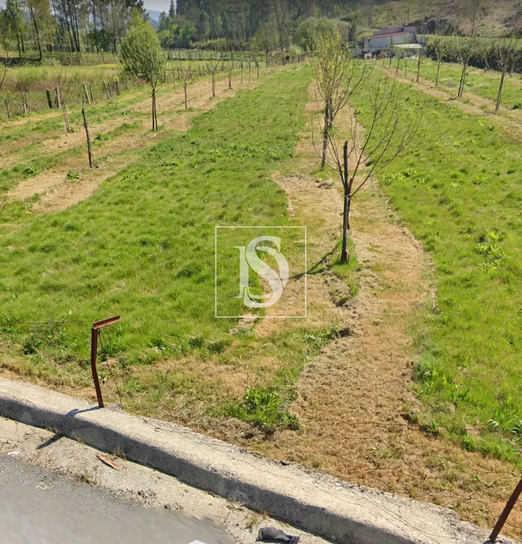 Terreno