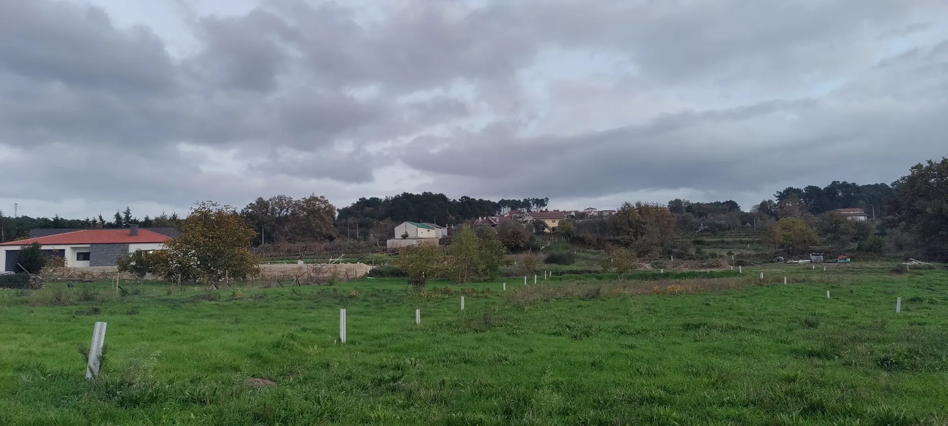 Terreno