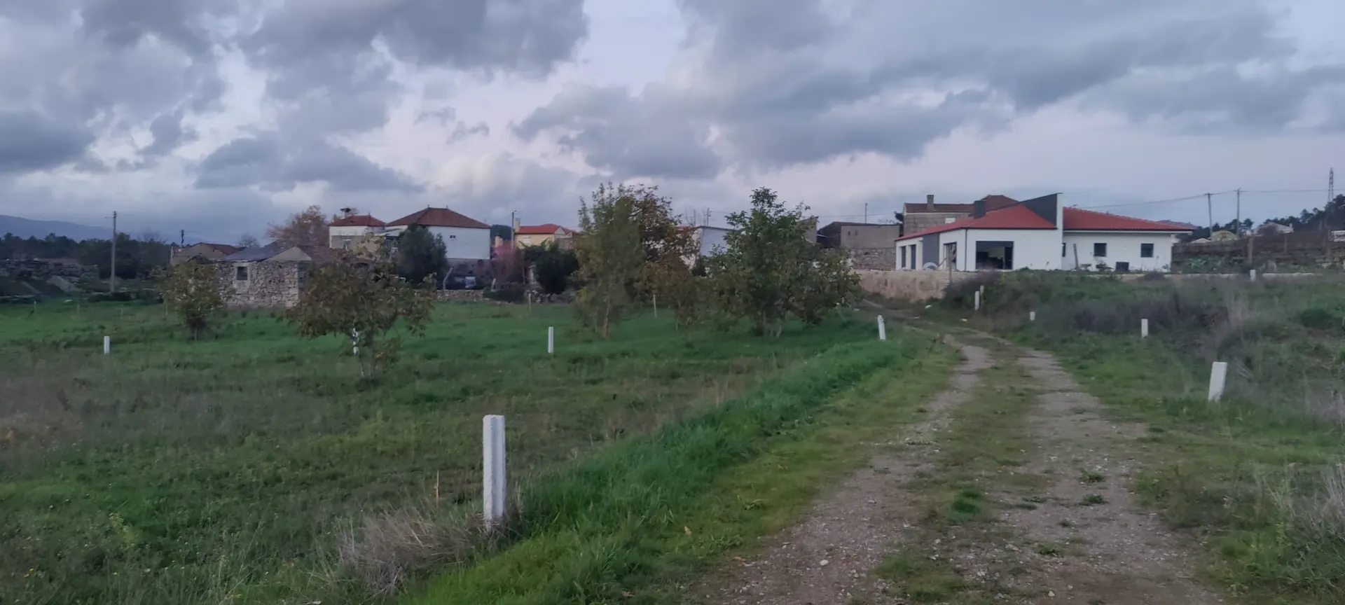 Terreno