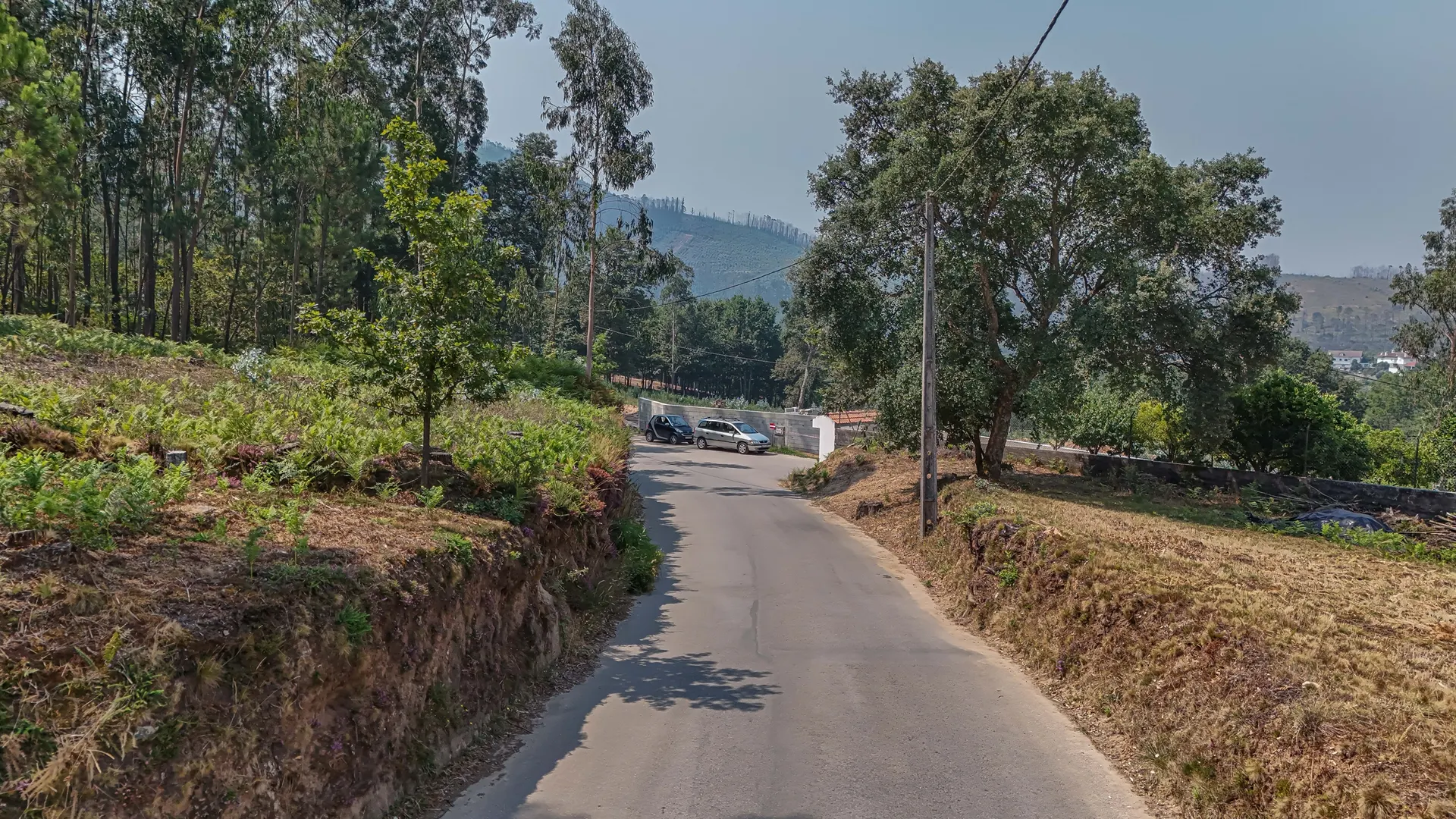 Terreno