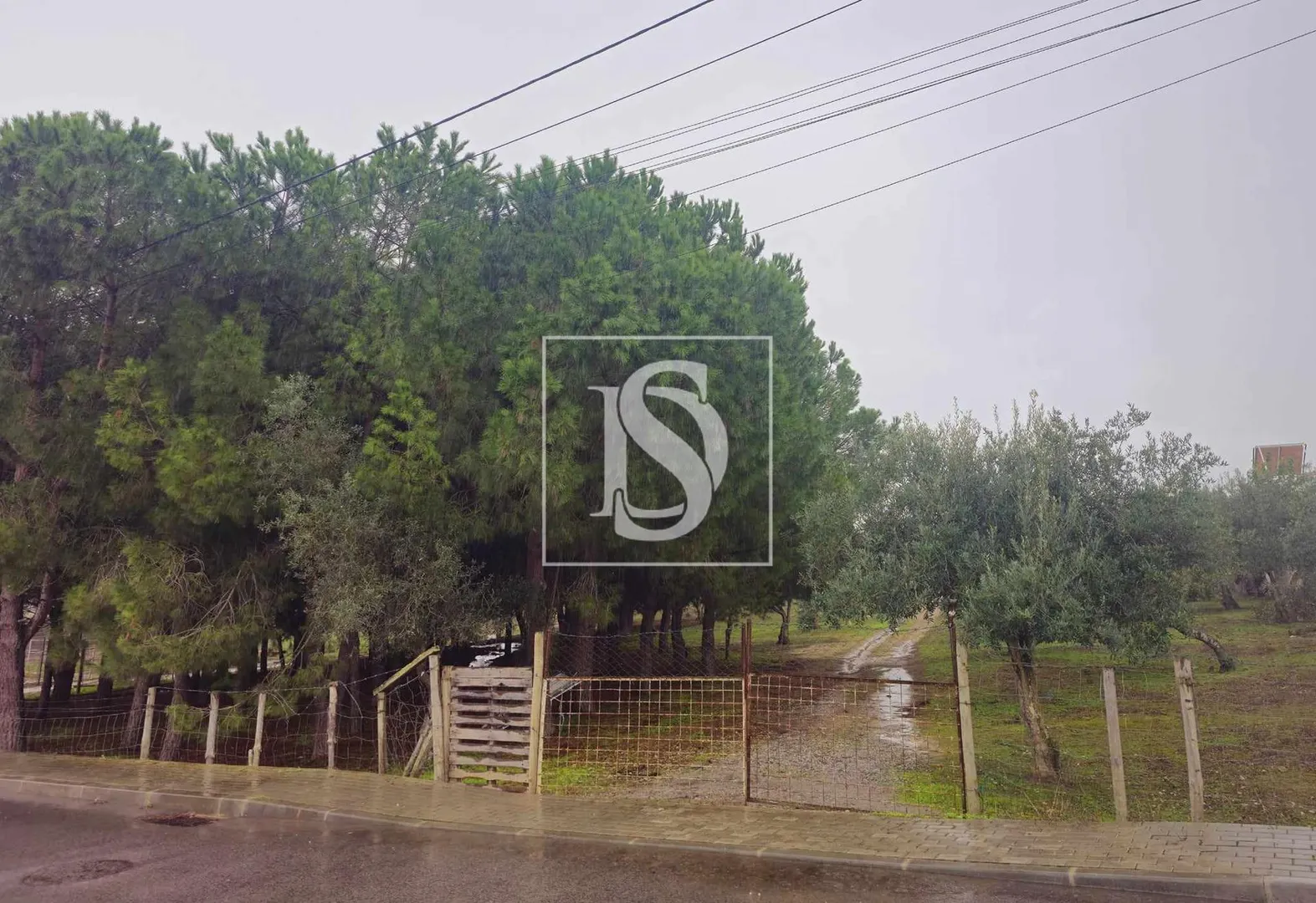 Terreno